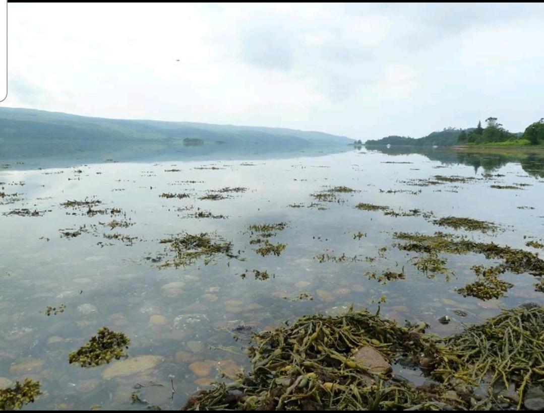 Quirky Lochside Home Inveraray Kültér fotó
